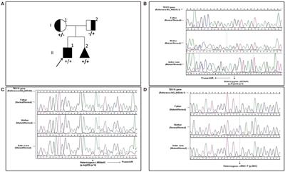 A Novel TBX19 Gene Mutation in a Case of Congenital Isolated Adrenocorticotropic Hormone Deficiency Presenting with Recurrent Respiratory Tract Infections